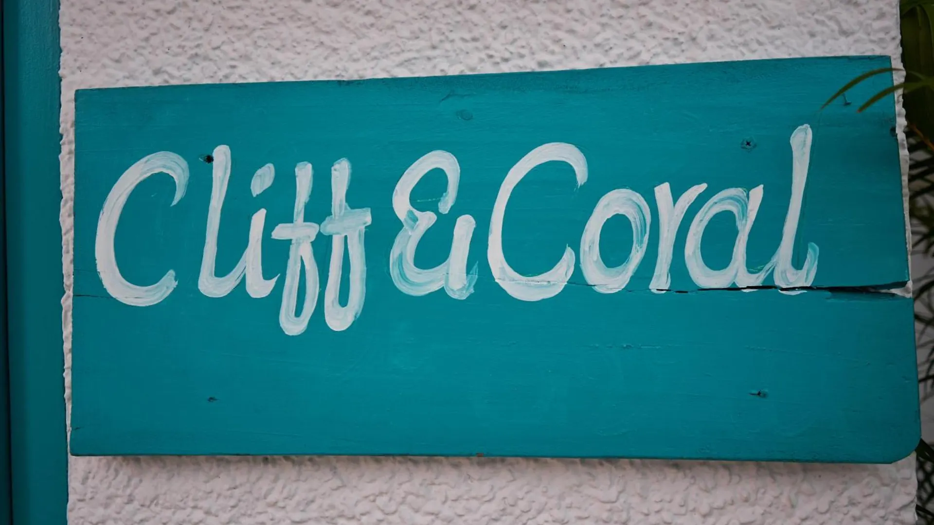 Hostel Cliff And Coral Varkala, North Cliff