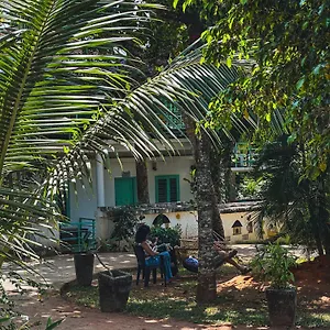  Hostel Molly's