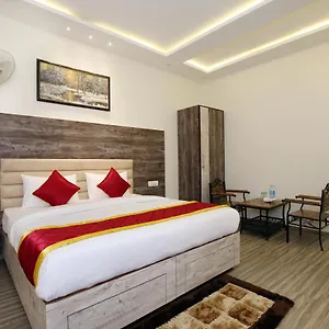 oyo-9159-hotel-royal-woods.shimlahotels.net/